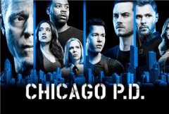 Полиция Чикаго 9 сезон (2014)
